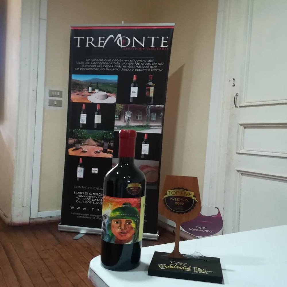 Pull Up Banner, INKARI 2019 Wine Award