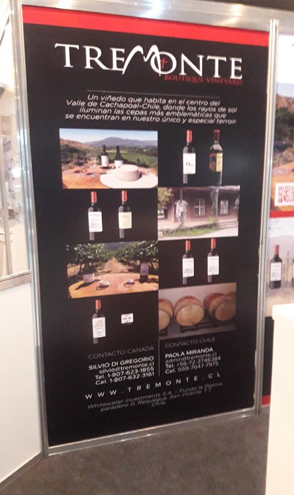 Tremonte Pull-Up Banner Vineyard